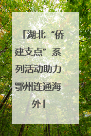 湖北“侨建支点”系列活动助力鄂州连通海外