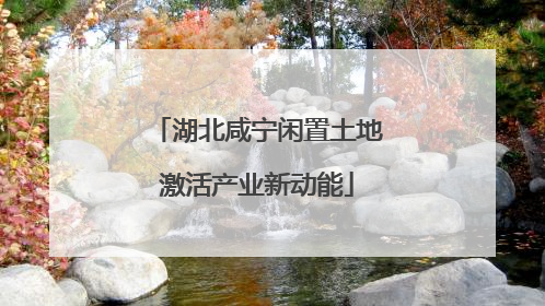 湖北咸宁闲置土地激活产业新动能