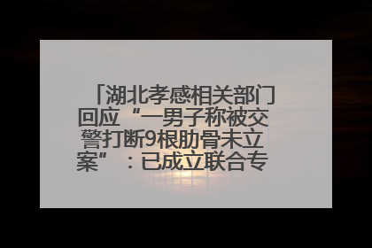 湖北孝感相关部门回应“一男子称被交警打断9根肋骨未立案”：已成立联合专班开展工作