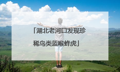 湖北老河口发现珍稀鸟类蓝喉蜂虎