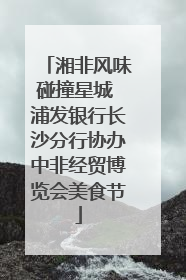 湘非风味碰撞星城 浦发银行长沙分行协办中非经贸博览会美食节