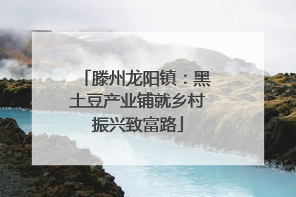 滕州龙阳镇：黑土豆产业铺就乡村振兴致富路