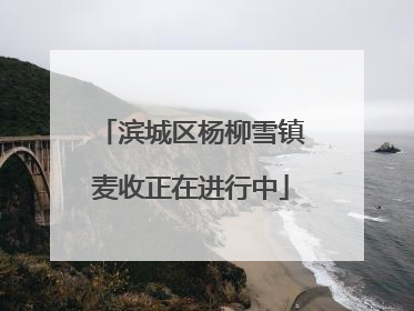 滨城区杨柳雪镇麦收正在进行中