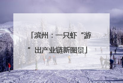 滨州：一只虾“游”出产业链新图景