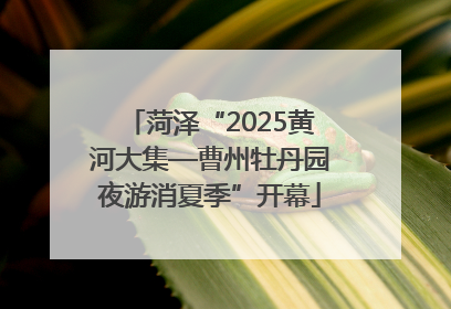 菏泽“2025黄河大集—曹州牡丹园夜游消夏季”开幕