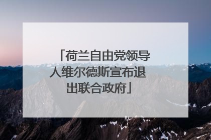 荷兰自由党领导人维尔德斯宣布退出联合政府