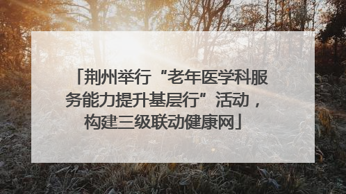 荆州举行“老年医学科服务能力提升基层行”活动，构建三级联动健康网