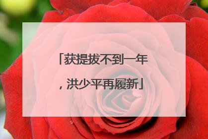 获提拔不到一年，洪少平再履新
