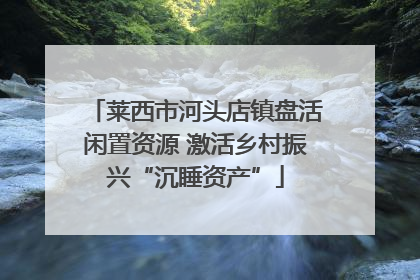 莱西市河头店镇盘活闲置资源 激活乡村振兴“沉睡资产”