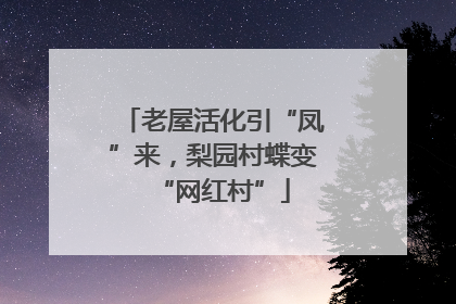 老屋活化引“凤”来，梨园村蝶变“网红村”