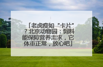 老虎瘦如“卡片”？北京动物园：饲料能保障营养需求，它体重正常，放心吧