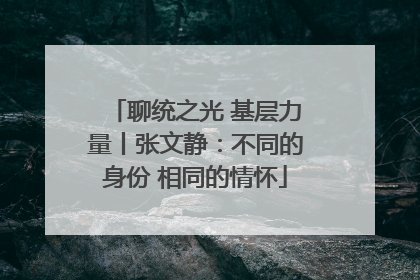聊统之光 基层力量丨张文静：不同的身份 相同的情怀