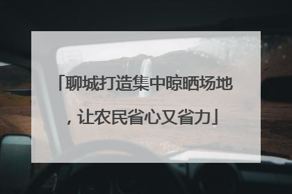 聊城打造集中晾晒场地，让农民省心又省力