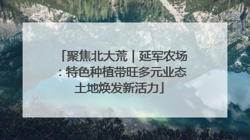 聚焦北大荒｜延军农场：特色种植带旺多元业态 土地焕发新活力