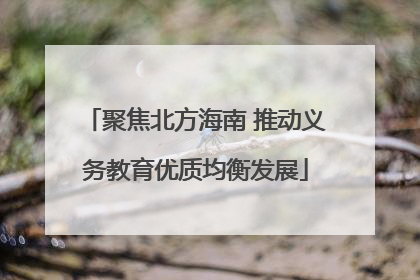 聚焦北方海南 推动义务教育优质均衡发展