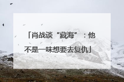 肖战谈“藏海”：他不是一味想要去复仇