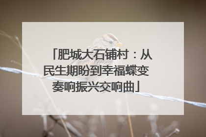 肥城大石铺村：从民生期盼到幸福蝶变奏响振兴交响曲