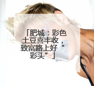 肥城：彩色土豆喜丰收，致富路上好“彩头”