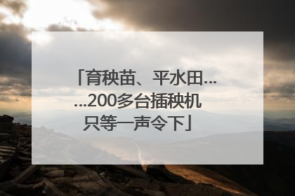 育秧苗、平水田……200多台插秧机只等一声令下