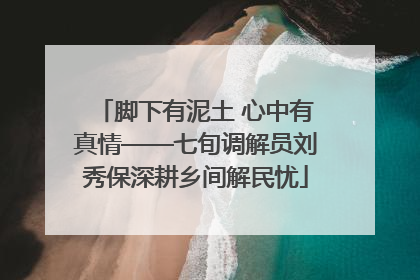 脚下有泥土 心中有真情——七旬调解员刘秀保深耕乡间解民忧