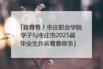 致青春！枣庄职业学院学子与枣庄市2025届毕业生共诉青春故事