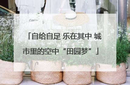 自给自足 乐在其中 城市里的空中“田园梦”