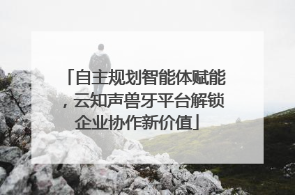 自主规划智能体赋能，云知声兽牙平台解锁企业协作新价值