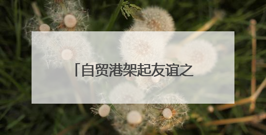 自贸港架起友谊之桥 中美青少年海南开启文化对话之旅
