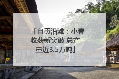 自贡沿滩：小春收获新突破 总产量近3.5万吨
