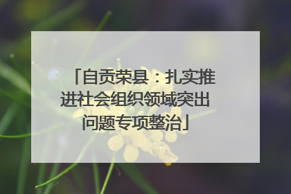 自贡荣县：扎实推进社会组织领域突出问题专项整治