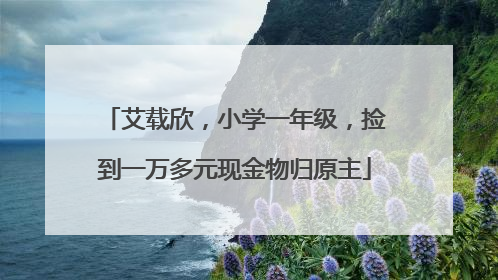艾载欣，小学一年级，捡到一万多元现金物归原主