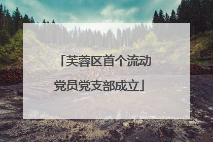 芙蓉区首个流动党员党支部成立