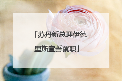 苏丹新总理伊德里斯宣誓就职