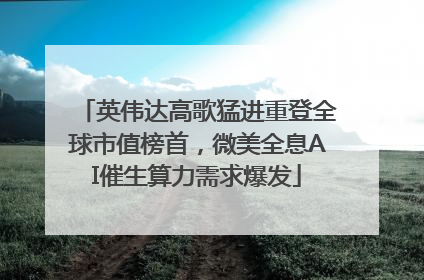 英伟达高歌猛进重登全球市值榜首，微美全息AI催生算力需求爆发