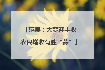 范县：大蒜迎丰收 农民增收有胜“蒜”