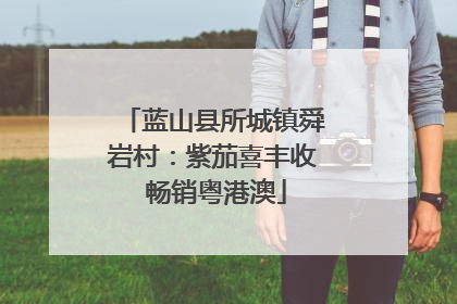 蓝山县所城镇舜岩村：紫茄喜丰收 畅销粤港澳