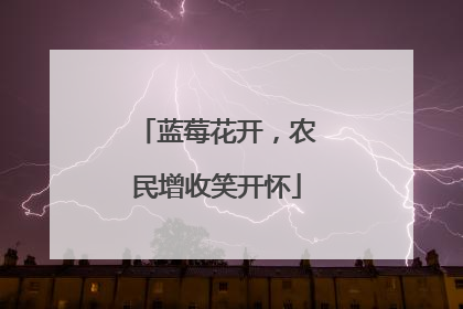 蓝莓花开，农民增收笑开怀