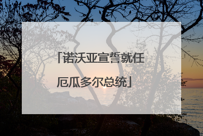 诺沃亚宣誓就任厄瓜多尔总统