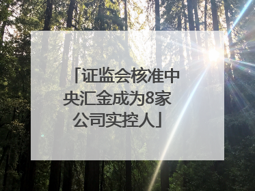 证监会核准中央汇金成为8家公司实控人
