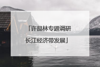许昆林专题调研长江经济带发展