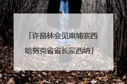 许昆林会见柬埔寨西哈努克省省长蒙西纳