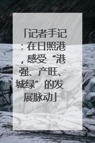 记者手记：在日照港，感受“港强、产旺、城绿”的发展脉动
