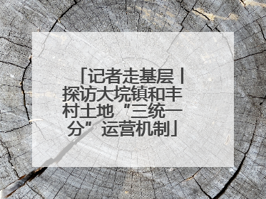 记者走基层丨探访大垸镇和丰村土地“三统一分”运营机制