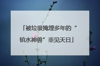 被垃圾掩埋多年的“镇水神兽”重见天日