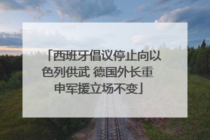 西班牙倡议停止向以色列供武 德国外长重申军援立场不变