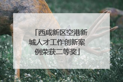 西咸新区空港新城人才工作创新案例荣获二等奖