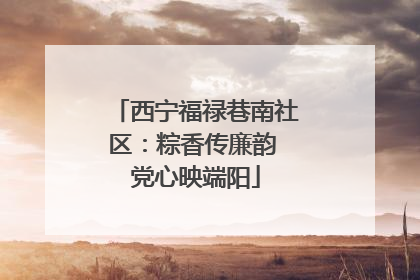 西宁福禄巷南社区：粽香传廉韵 党心映端阳