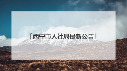 西宁市人社局最新公告