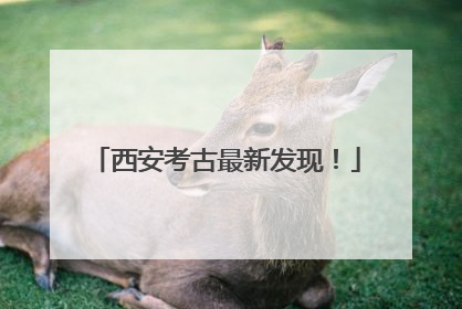西安考古最新发现！