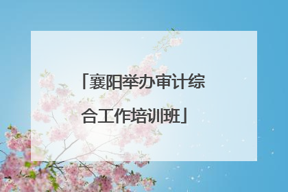 襄阳举办审计综合工作培训班